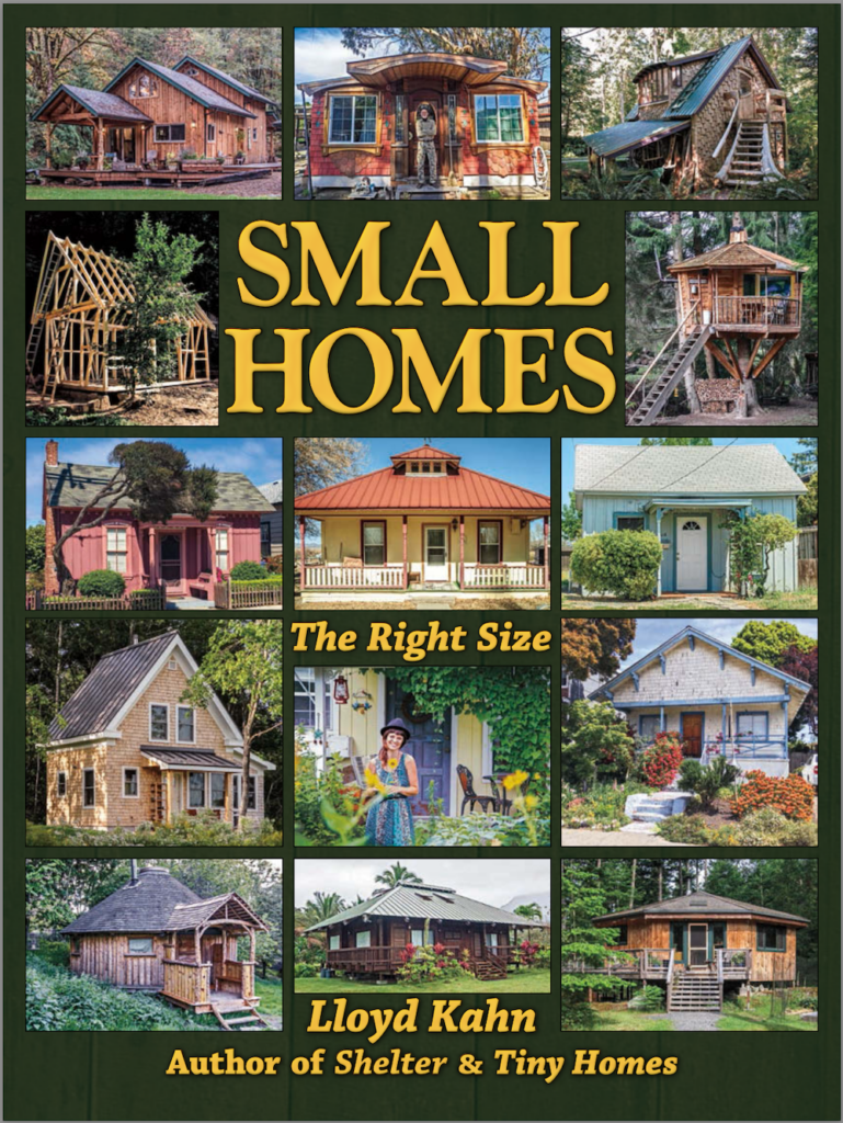 Small Homes book cover 